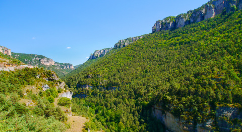 chalets in Aveyron